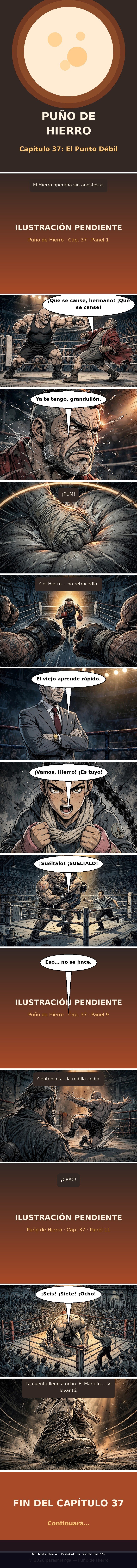 Capítulo 37 de Puño de Hierro